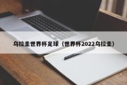 乌拉圭世界杯足球（世界杯2022乌拉圭）