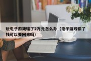 玩电子游戏输了2万元怎么办（电子游戏输了钱可以要回来吗）