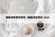 橄榄球世界杯冠军（橄榄球世界杯 2019）
