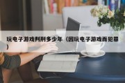 玩电子游戏判刑多少年（因玩电子游戏而犯罪）