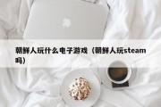 朝鲜人玩什么电子游戏（朝鲜人玩steam吗）