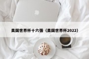美国世界杯十六强（美国世界杯2022）