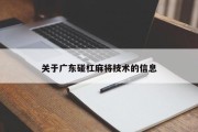 关于广东碰杠麻将技术的信息
