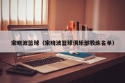 宋晓波篮球（宋晓波篮球俱乐部教练名单）
