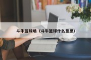斗牛篮球场（斗牛篮球什么意思）