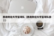 西南财经大学篮球队（西南财经大学篮球队邵翀）
