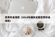 世界杯金球奖（2014年国际足联世界杯金球奖）