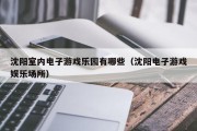沈阳室内电子游戏乐园有哪些（沈阳电子游戏娱乐场所）
