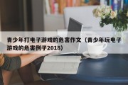 青少年打电子游戏的危害作文（青少年玩电子游戏的危害例子2018）