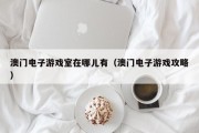澳门电子游戏室在哪儿有（澳门电子游戏攻略）