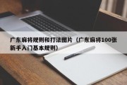 广东麻将规则和打法图片（广东麻将100张新手入门基本规则）