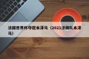 法国世界杯夺冠本泽马（2021法国队本泽马）