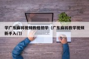 学广东麻将视频教程初学（广东麻将教学视频新手入门）