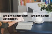 汨罗市电子游戏培训机构（汨罗市电子游戏培训机构有哪些）